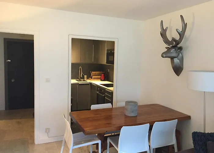 Du Brevent Appartement Chamonix